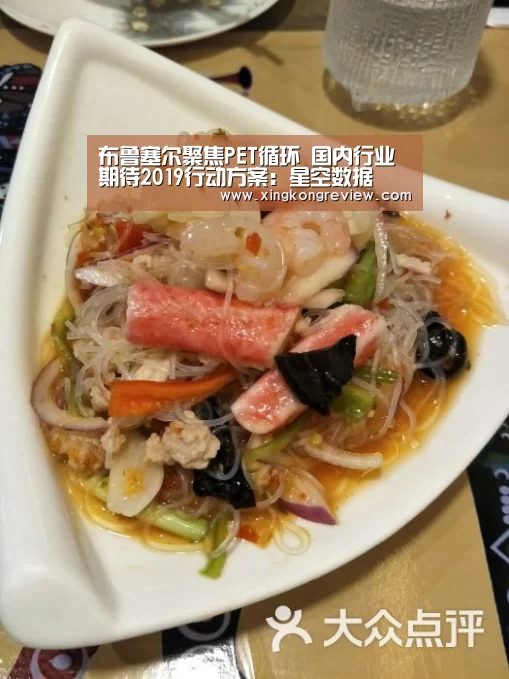 布鲁塞尔聚焦PET循环 国内行业期待2019行动方案:星空数据(图2) 星空游戏