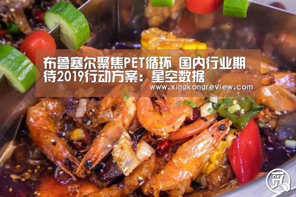 布鲁塞尔聚焦PET循环 国内行业期待2019行动方案:星空数据(图3) 星空游戏