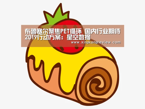 布鲁塞尔聚焦PET循环 国内行业期待2019行动方案:星空数据(图1) 星空数据