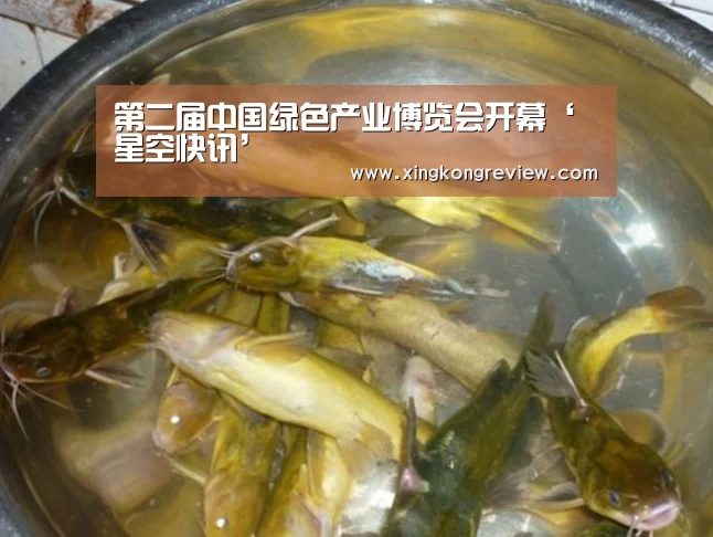 星空快讯