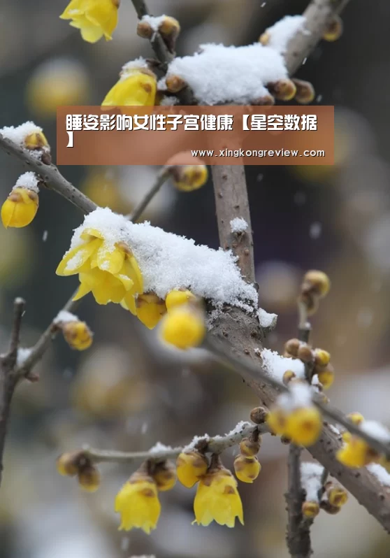睡姿影响女性子宫健康【星空数据】(图2) 星空聚合